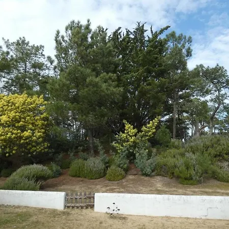 Maison Retro 62M² Pres De La Plage - Animaux Acceptes - Fr-1-540-314 Holiday home *