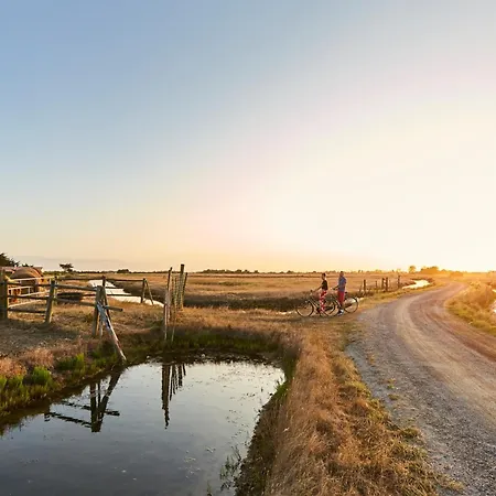 Maison Retro 62M² Pres De La Plage - Animaux Acceptes - Fr-1-540-314 * Notre-Dame-de-Monts